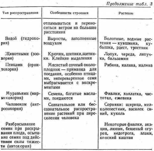 Таблица строение и распространение плодов