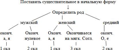 Можете, с языком, завтра диктант как выучить окончание сушествительных