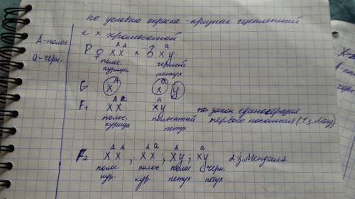 Окраска оперения у кур обуславливается генами в x-хромосоме. доминантная -полосатая, рецессивная- че