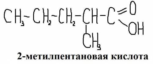 2метилпентановая кислота структурная формула