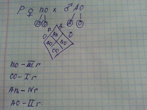 Які групи крові можливі у дітей, чкщо в батька 2 гетерозиготна група, а в матері 3 гетерозиготна гру