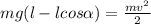 mg(l-lcos\alpha)=\frac{mv^2}{2}