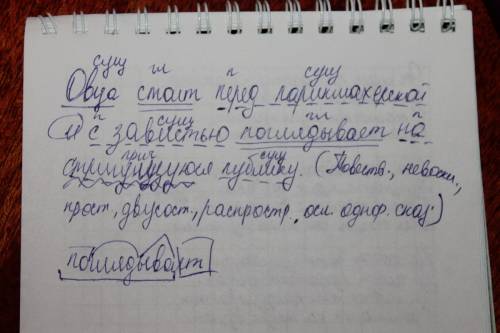 Выполните синтаксический вопрос: овца стоит перед парикмахерской и с завистью поглядывает на стригущ