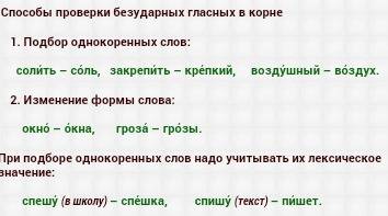 Проверяемые безударные гласные в корне 5 слов