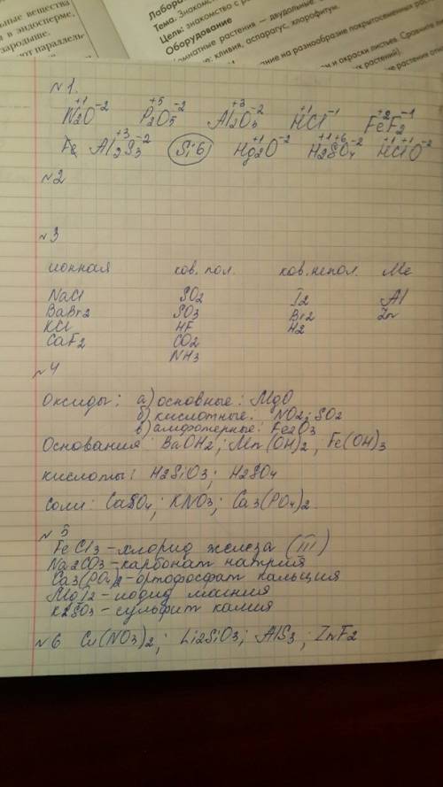 1. определите степень окисления элементов по формуле: n2o p2o5 al2o3 hcl fe f2 al2s3 si6 hg2o h2so4