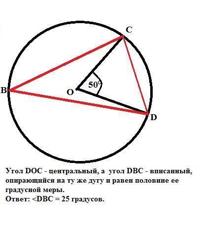 Окружность с центром о описана около треугольника bcd. найдите угол dbc если угол doc=50 градусам