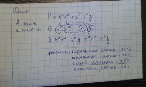 Іть будь ! у людини кольорова сліпота зумовлена рецесивним геном, що знаходиться в х - хромосомі. жі