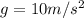 g = 10 m/s^2