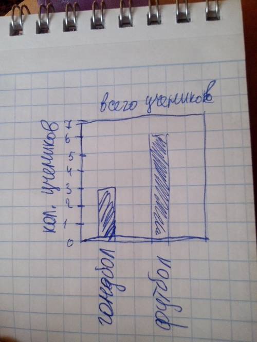 Нарисуй в тетраде баграф и покажи с 3 рисунков число учеников занимаюшихся гандболом и 6 рисунков чи