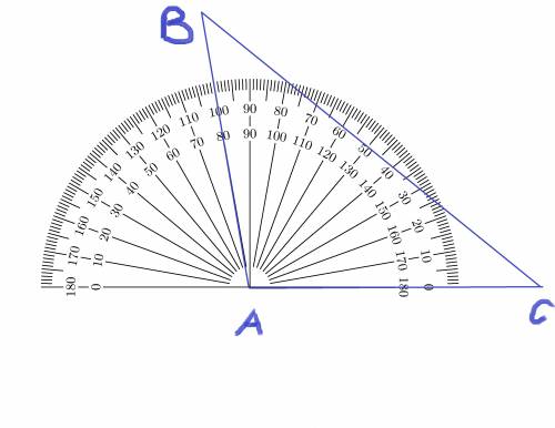 Начертить треугольник bac в котором угол bac равен 100 градусов