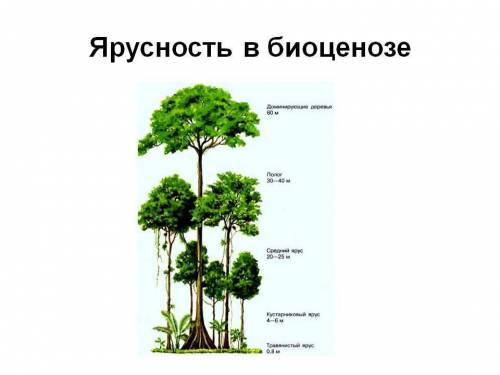 Умоляю с биологией 4. из перечисленных названий организмов выберите редуцентов: медведь, бык, дуб, б