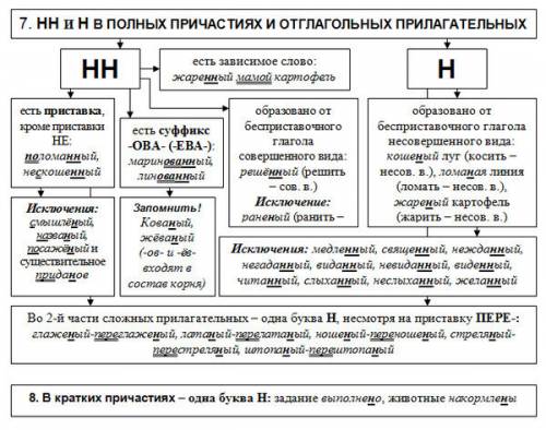 Буквы н и нн в причастиях и прилагательных