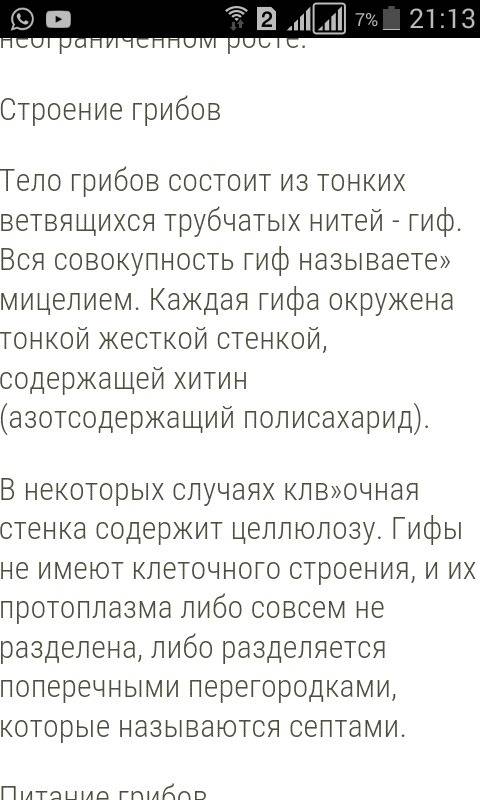 5класс. напишите, , строение гриба. и как в биологии называют гриб?