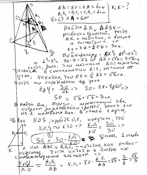 Сторони основ правильної трикутної зрізаної піраміди 2 і 6 см. бічна грань утворює з більшими основи