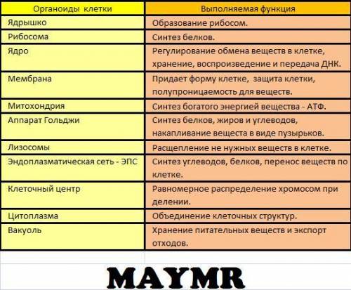 Объясните строение функции органоидов животной клетки