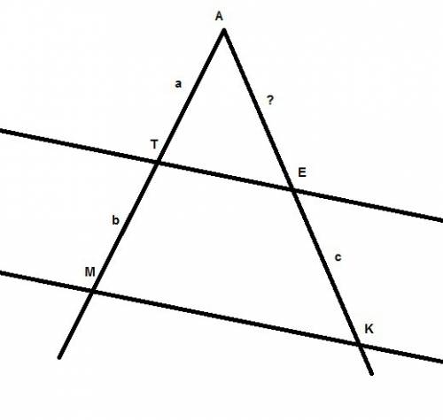 Параллельные прямые mk и te пересекают стороны угла mak так, что точка t делит отрезок на отрезки at