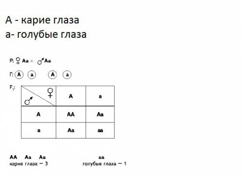 Может ли у родителей с карими глазами родиться голубоглазый ребенок? возможно ли рождение кареглазог