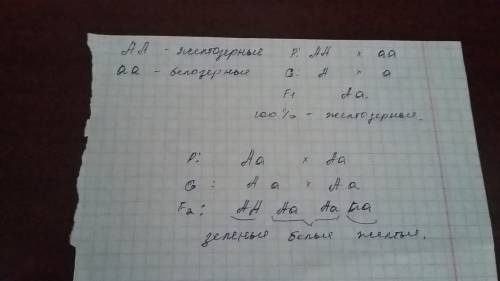 Желтозерный сорт ржи скрещен с белозерным, в f1 все растения были с зелеными семенами, а в f2 расщеп