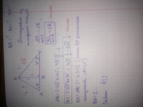 Радиус описанной окружности около треугольника авс равен 2√2. найти длину вн, если угол а равен 30°,