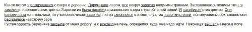 Сграмматической основой! ( в каждом предложении) как-то летом я возвращался с озера в деревню. дорог