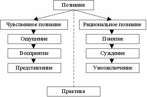 Как происходит процесс познания? представьте его в виде схемы.