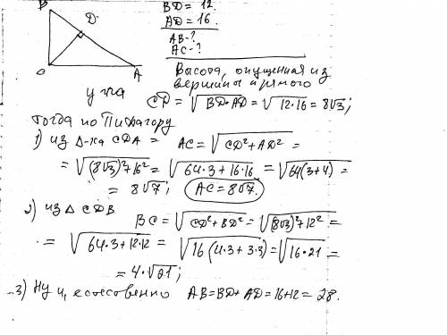 Треугольник abc-прямоугольный,bd=12 см,ad=16 см.найти x и y.х уже нашел.надо найти y.