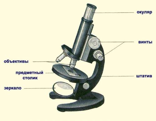 Составьте части микроскопа в соответствии с выполняемой ими функцией