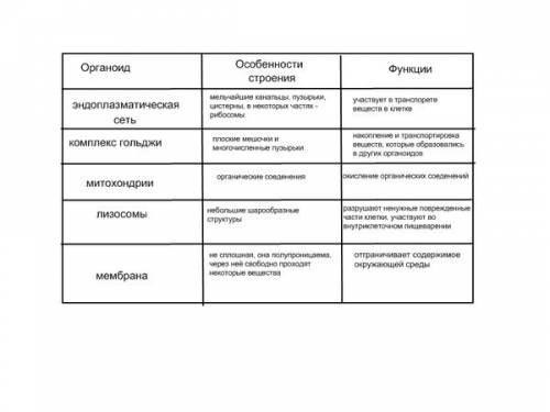 Заполнить таблицу! строение клетки 1) органоид! 2) строение 3) выполняемая функция