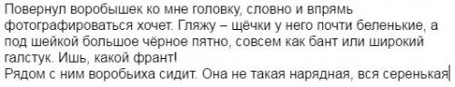 Написать изложение 6 класс на тему: на кустах акации сидело много воробьев.задали написать изложение