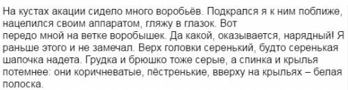 Написать изложение 6 класс на тему: на кустах акации сидело много воробьев.задали написать изложение