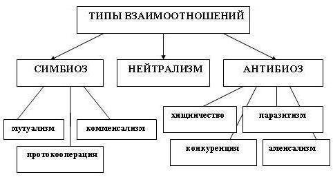 Вприроде между всеми телами существует тесная связь примеры! заранее !