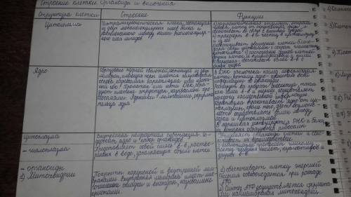 Заполнить таблицу по биологии, клеточное строение организма, 1 столбик-органоиды клетки, 2 столбик