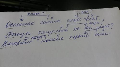 Сстрелок укажи связь слов предложениях запиши вопросы на которые отвечают второстепенные члены . осе