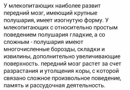 Какие отделы головного мозга хорошо развиты у млекопитающих и почему?