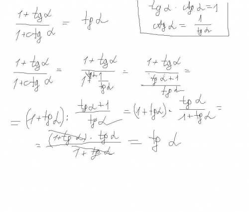 1плюс тангенс делим на единицу плюс катангенс равно тангенс.докажите тождество