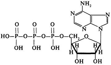 Необходимо доказать, что аденозинтрифосфорная кислота является аминокислотой. : )