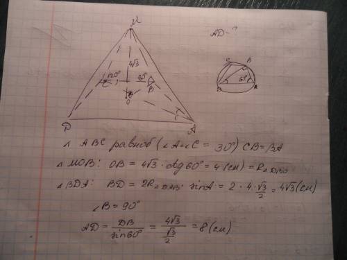 Вчетырёхугольной пирамиде все боковые рёбра наклонены к плоскости основанию под углом 60градусов. из