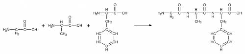 1)глицин+аланин+фенилаланин= 2) найдите массу гли-ала-фен, если масса глицина 23г.