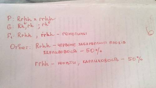 Утоматів червоне забарвелння плодів (r) домінує над жовтим (r), а високорослість ( h)домінує над кар