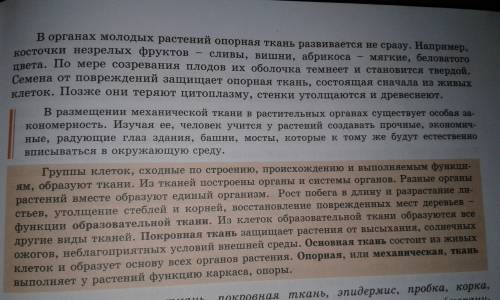 Характеристика тканей: где находится покровная ткань, приводящая ткань, механическая ткань?