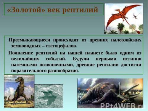 1).объясни, что изучают следующие учёные , археолог,палеонтолог. 2). примеры древних обитателей земл