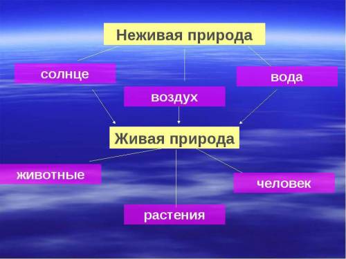 Используя различные источники информации подберите рисунок фотографии иллюстрирующие взаимосвязь обь