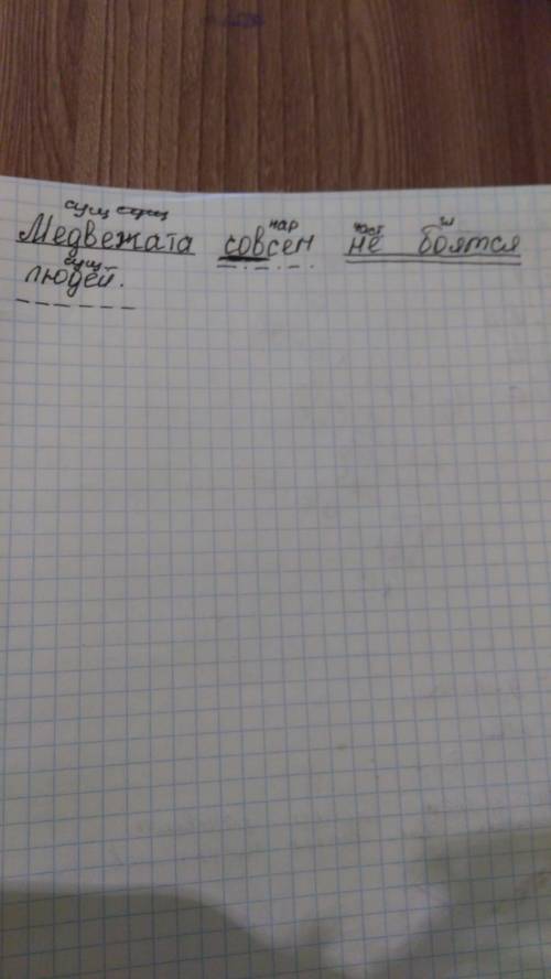 Полный синтаксический разбор предложения: медвежата совсем не боятся людей (выделить второстепенные