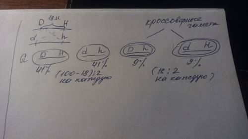 Решить , определить, какие типы гамет и в каком соотношении образует особь женского пола с генотипом