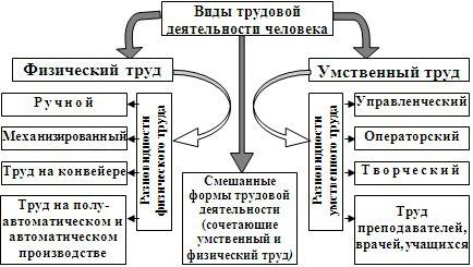 Виды трудовой деятельности 2 вида напишите по быстрому 40