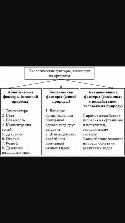 Соствить план экологические факторы и их влияние на живые организмы 5 класс