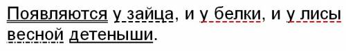 Появляются у зайца и у белки и у лисы весной детеныши? синтаксический разбор