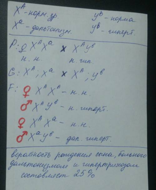 Женщина с нормальным зрением,отец которого был дальтоником,вышла замуж за мужчину с волосатостью ушн