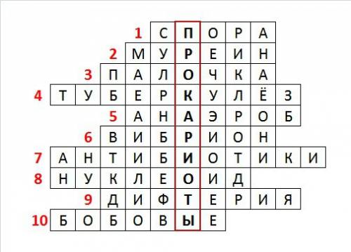 Готовый кроссворд по биологии на тему бактерии