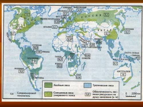 Страны наиболее обеспеченные лесными ресурсами